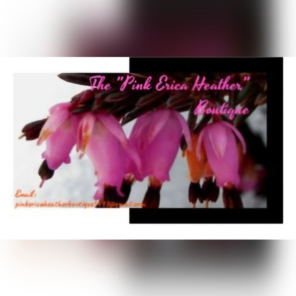 Meet your Posher, Erica